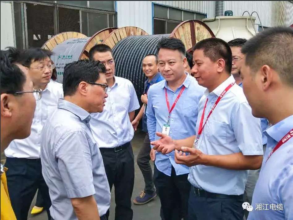 湖南省副省長(zhǎng)陳文浩一行蒞臨湘江電纜考察指導(dǎo)工作