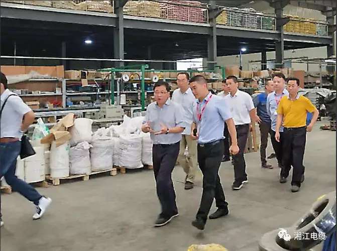 湖南省副省長(zhǎng)陳文浩一行蒞臨湘江電纜考察指導(dǎo)工作
